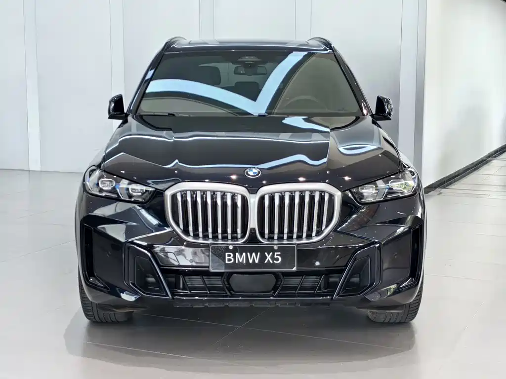 BMW X5 — фото 2