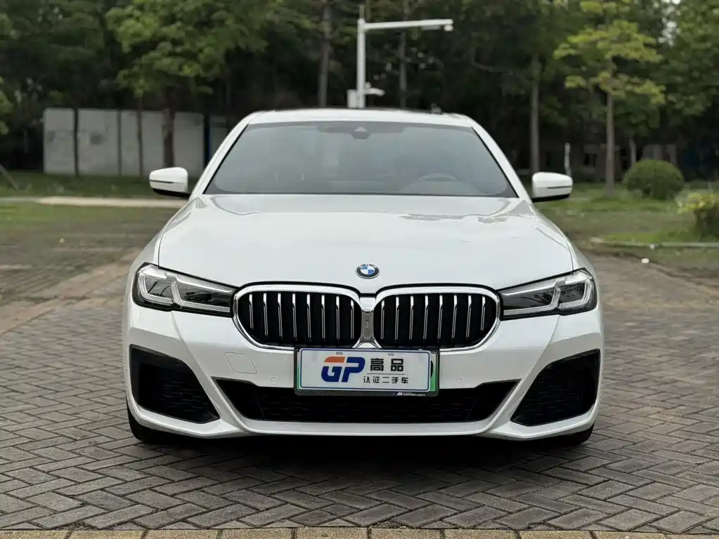 BMW 5 Series New Energy — фото 2