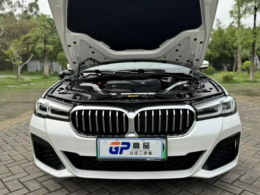 BMW 5 Series New Energy — фото 17