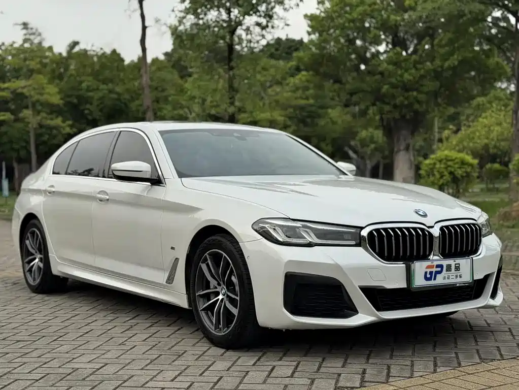 BMW 5 Series New Energy — фото 3