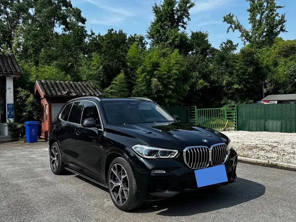 BMW X5 (Import) — фото 3