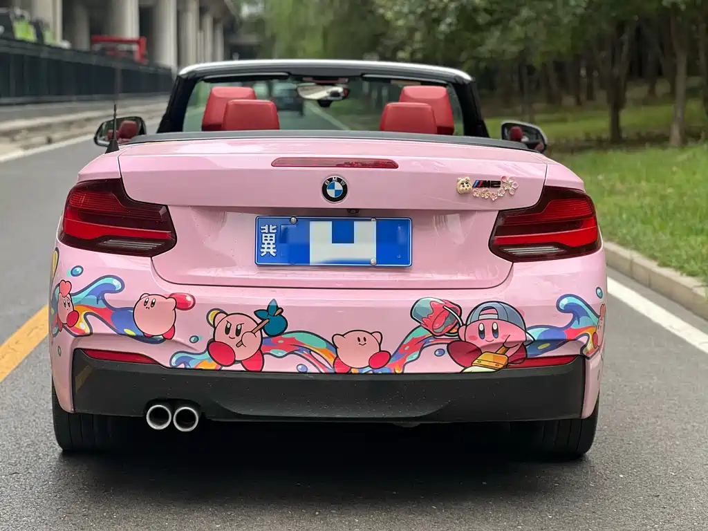 BMW 2 Series (Import) — фото 8