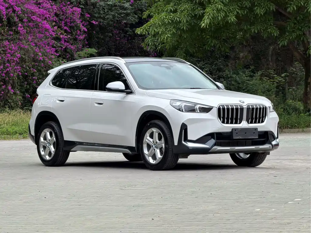 BMW X1 — фото 8