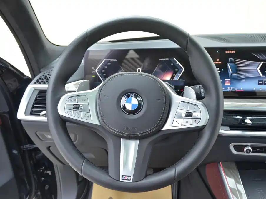 BMW X5 — фото 10