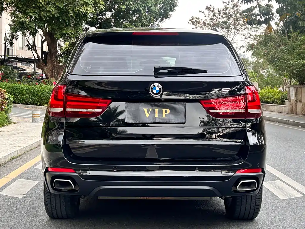 BMW X5 (Import) — фото 6