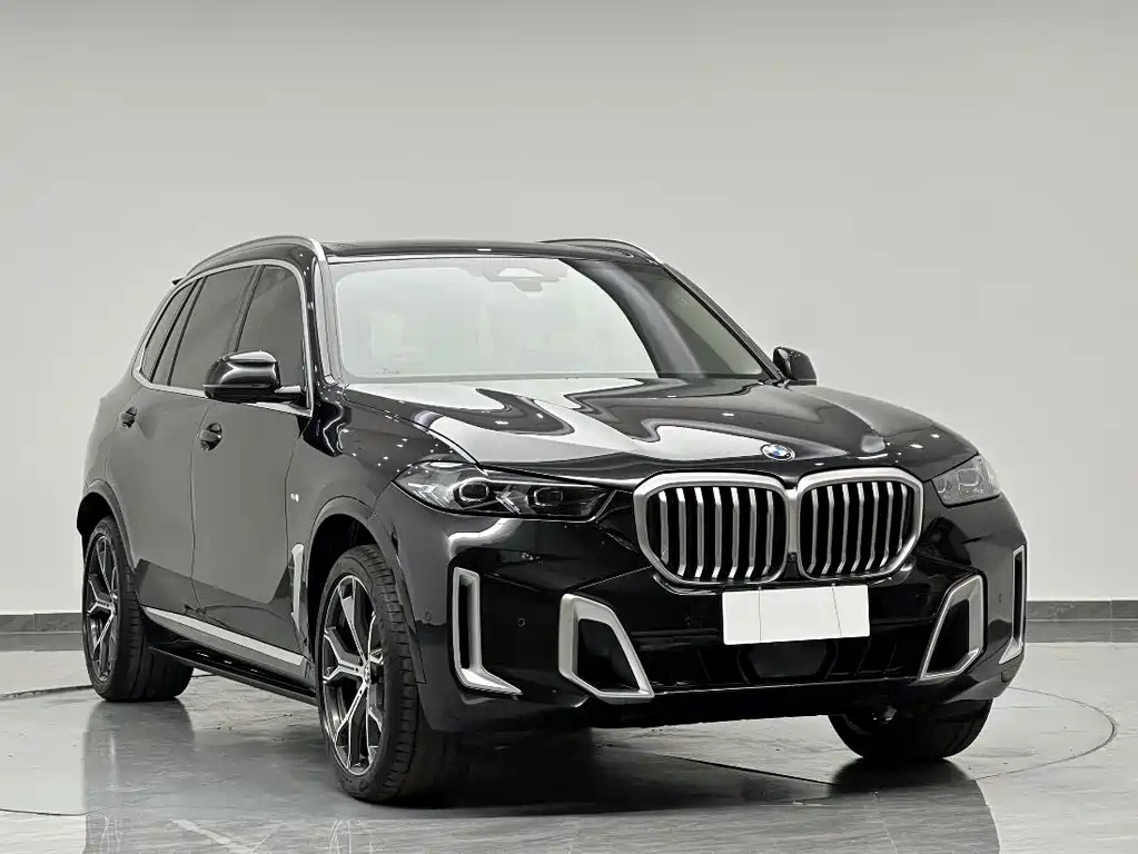 BMW X5 — фото 4