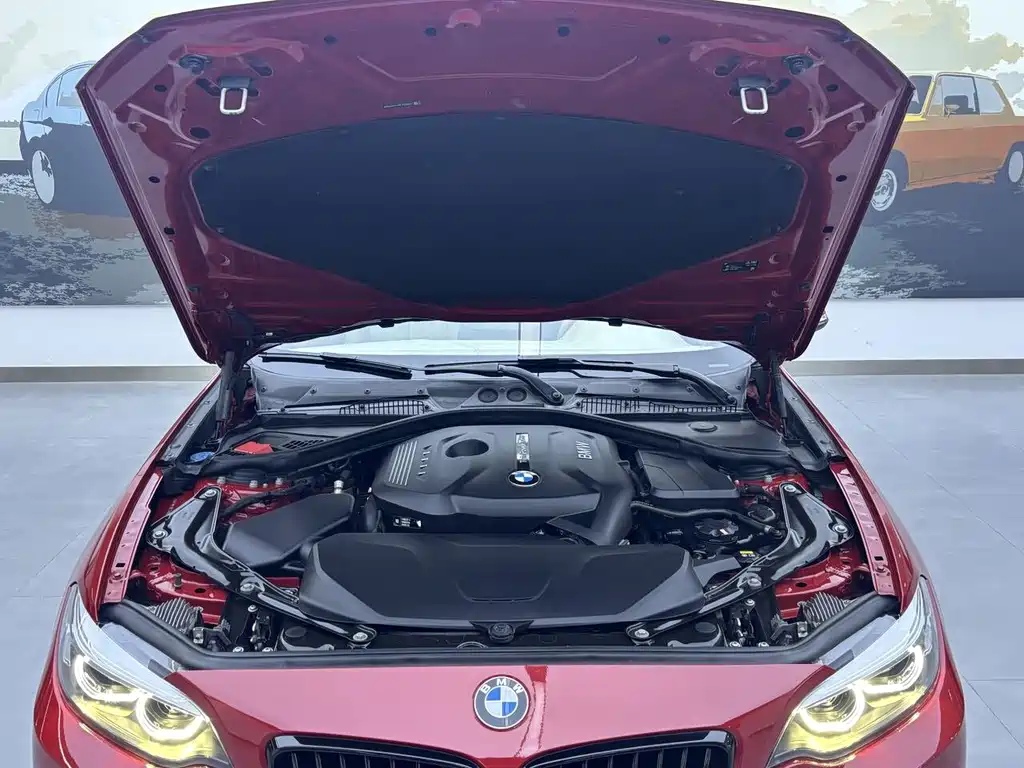 BMW 2 Series (Import) — фото 4
