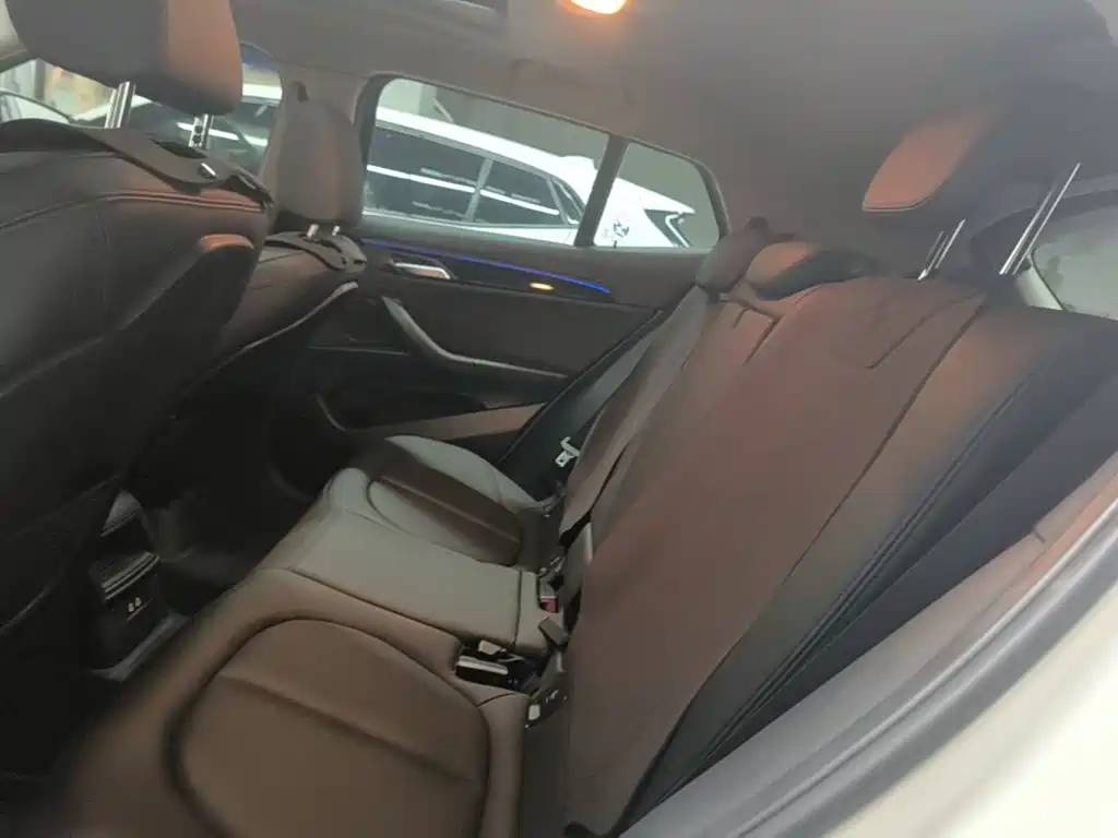 BMW X2 (Import) — фото 17