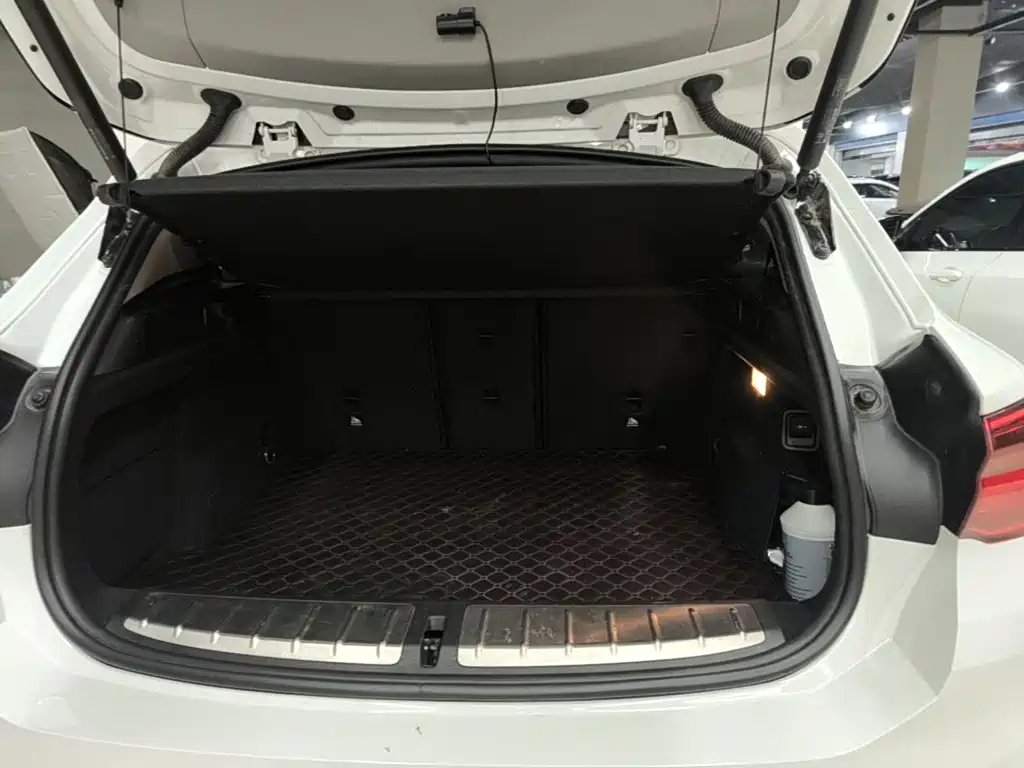 BMW X2 (Import) — фото 19