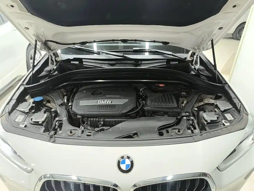 BMW X2 (Import) — фото 20