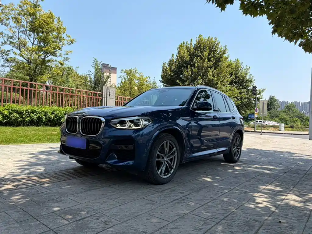 BMW X3 — фото 2