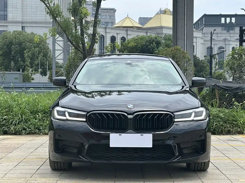 BMW 5 Series New Energy — фото 2