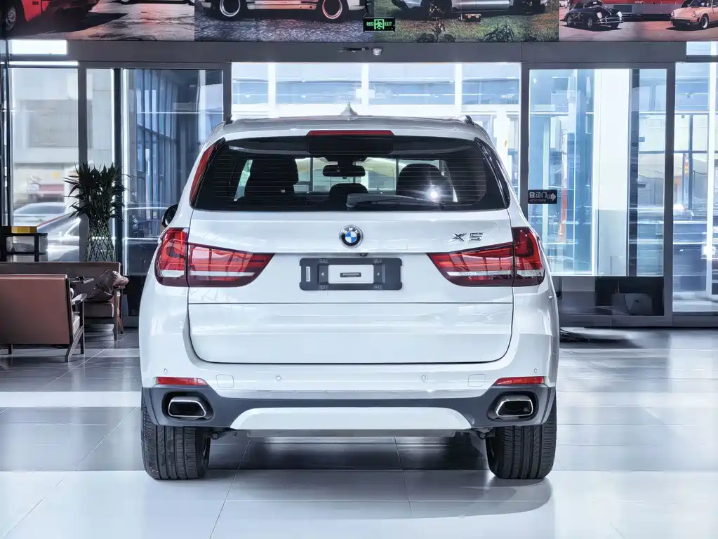 BMW X5 (Import) — фото 10