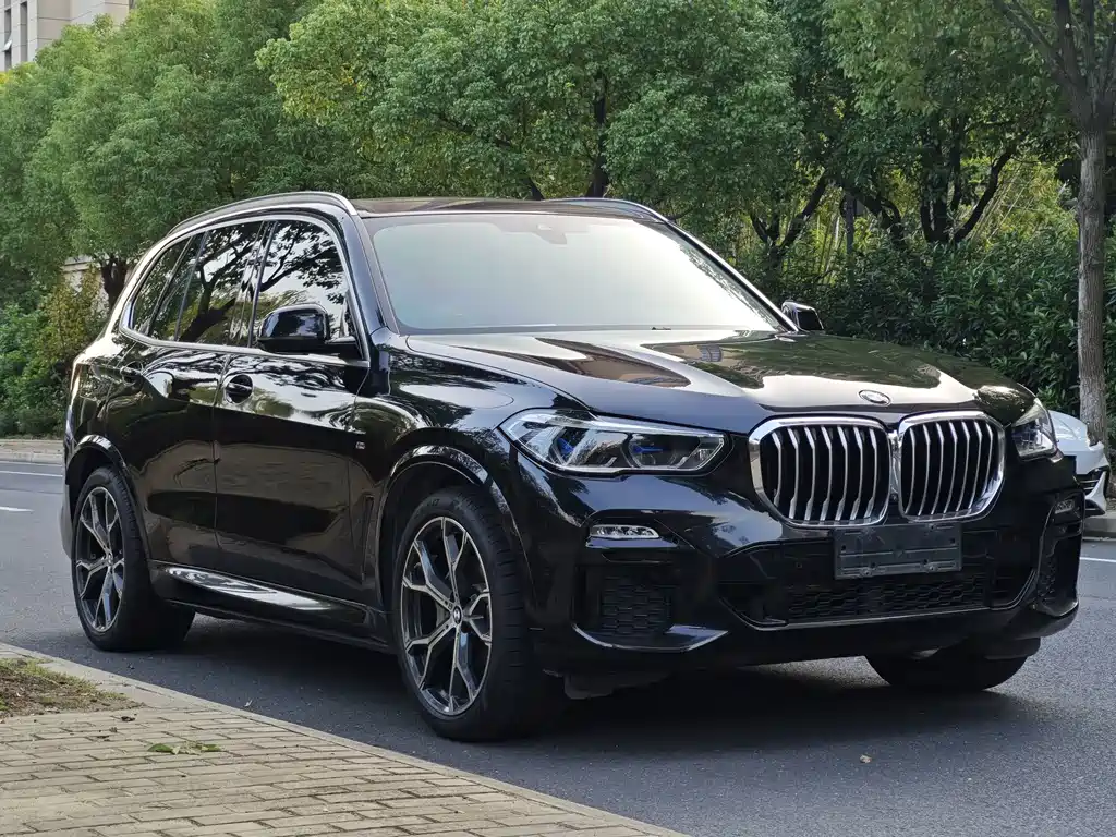 BMW X5 (Import) — фото 3