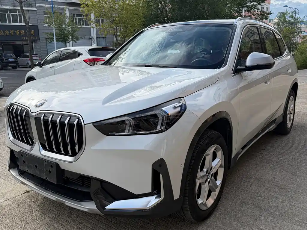 BMW X1 — фото 2