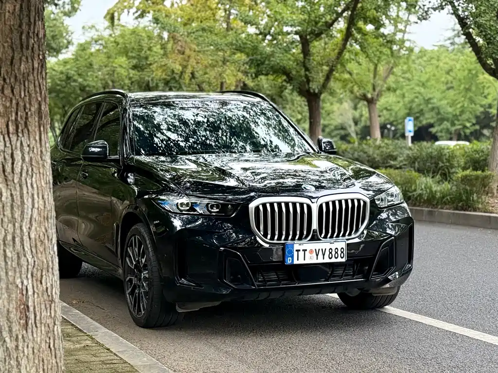 BMW X5 — фото 2