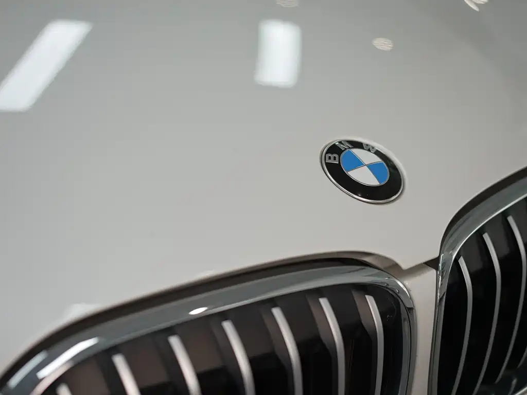 BMW X1 — фото 23
