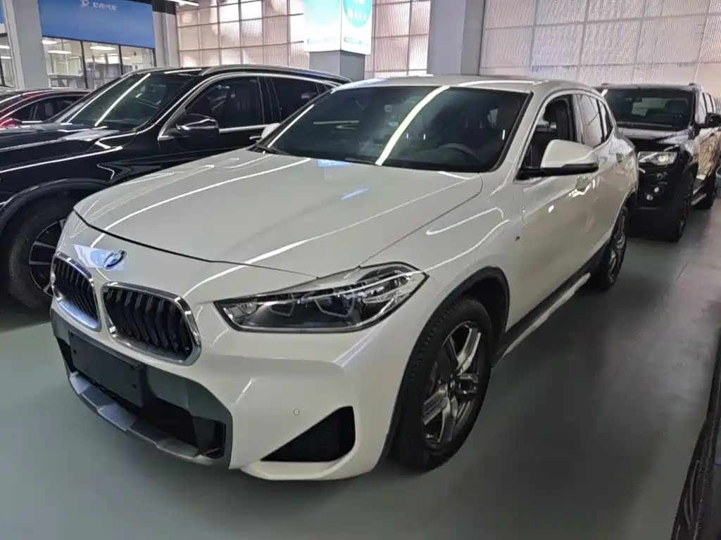 BMW X2 — фото 2