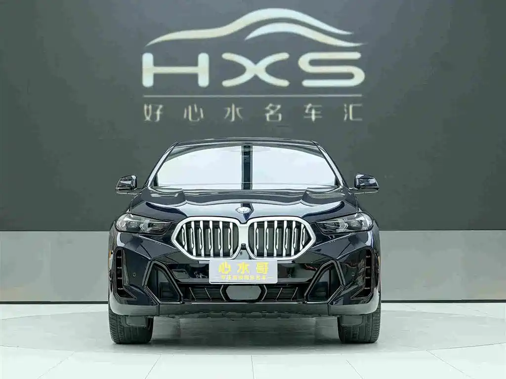 BMW X6 — фото 2