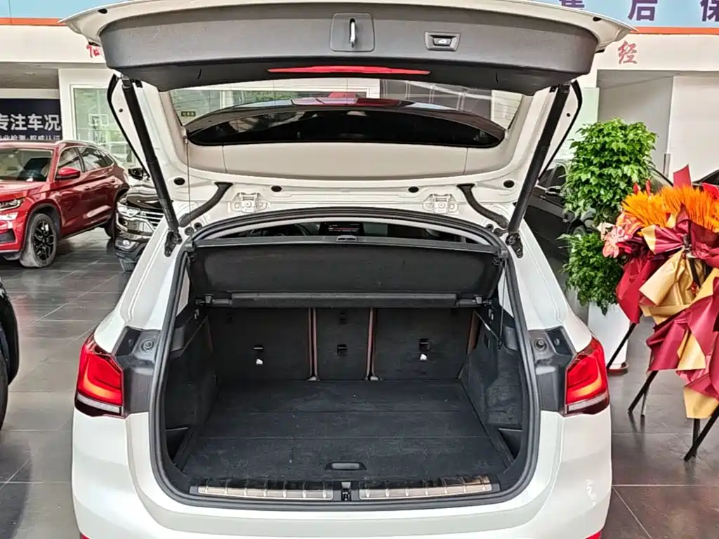 BMW X1 New Energy — фото 19