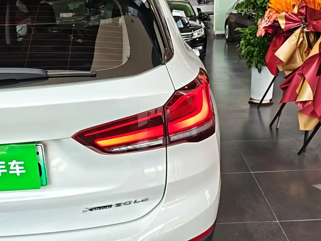 BMW X1 New Energy — фото 8