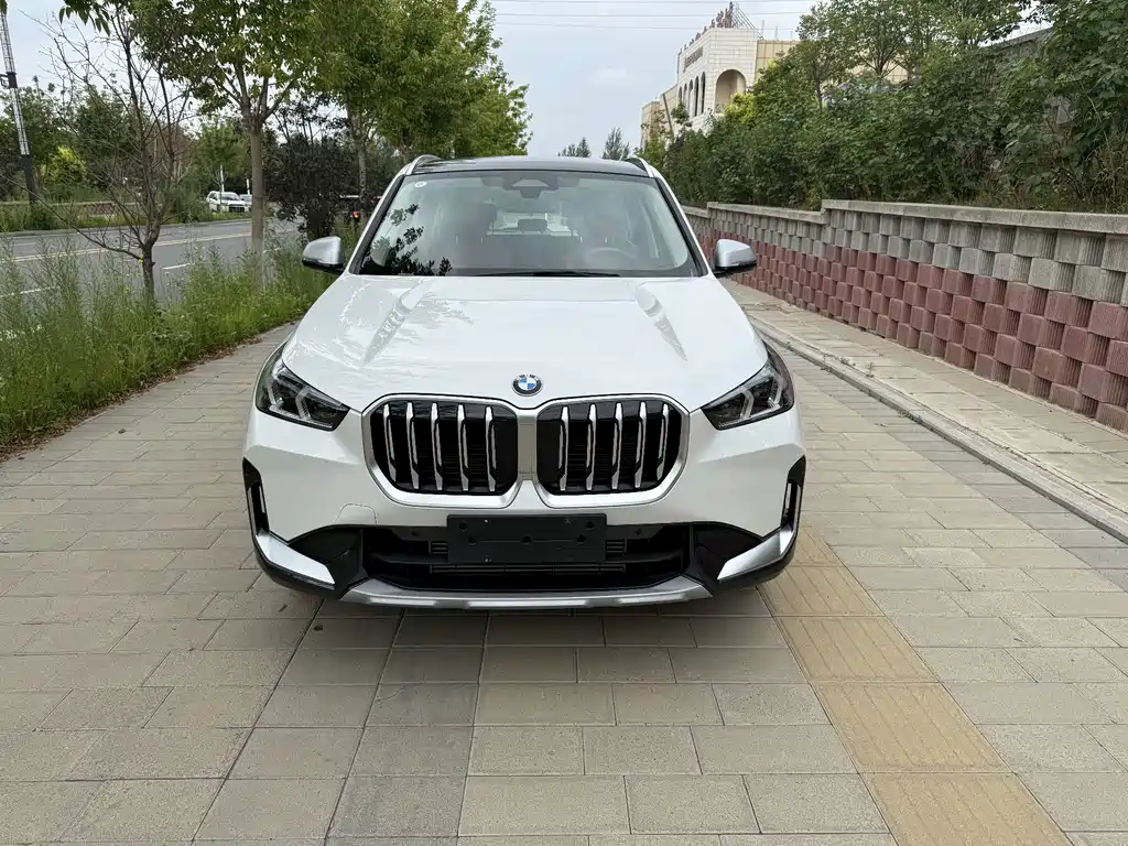 BMW X1 — фото 2