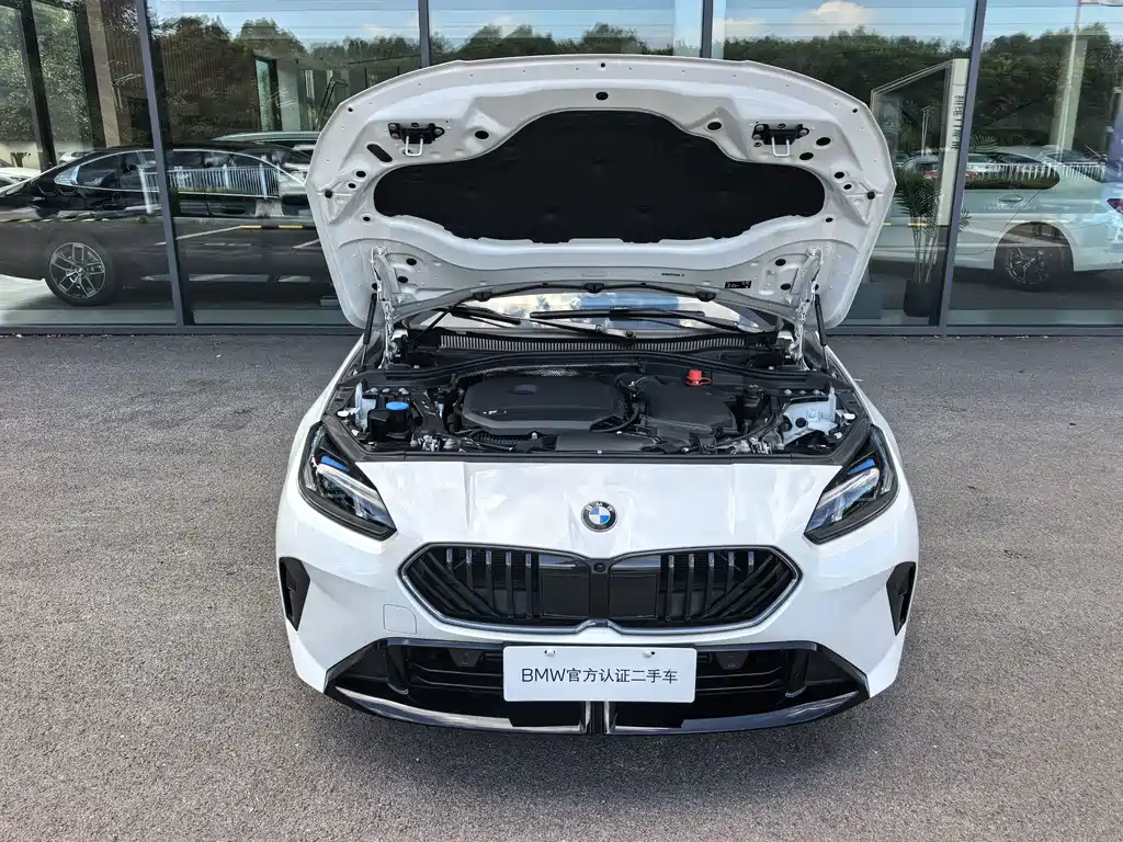 BMW 2 Series — фото 15