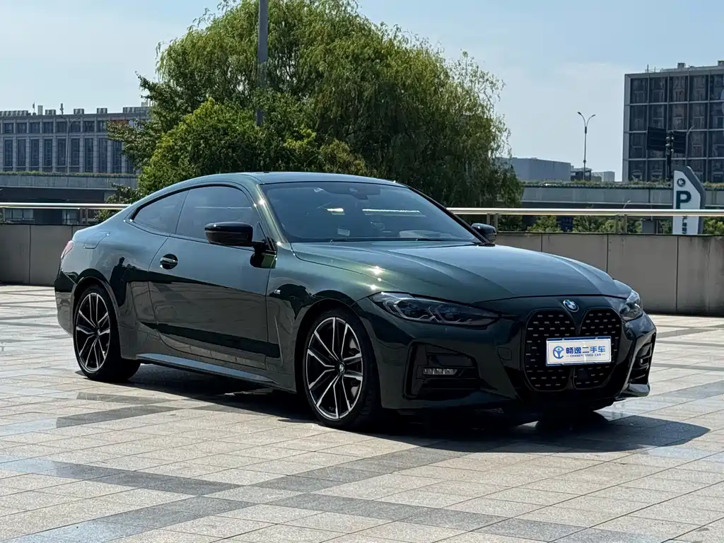 BMW 4 Series — фото 19