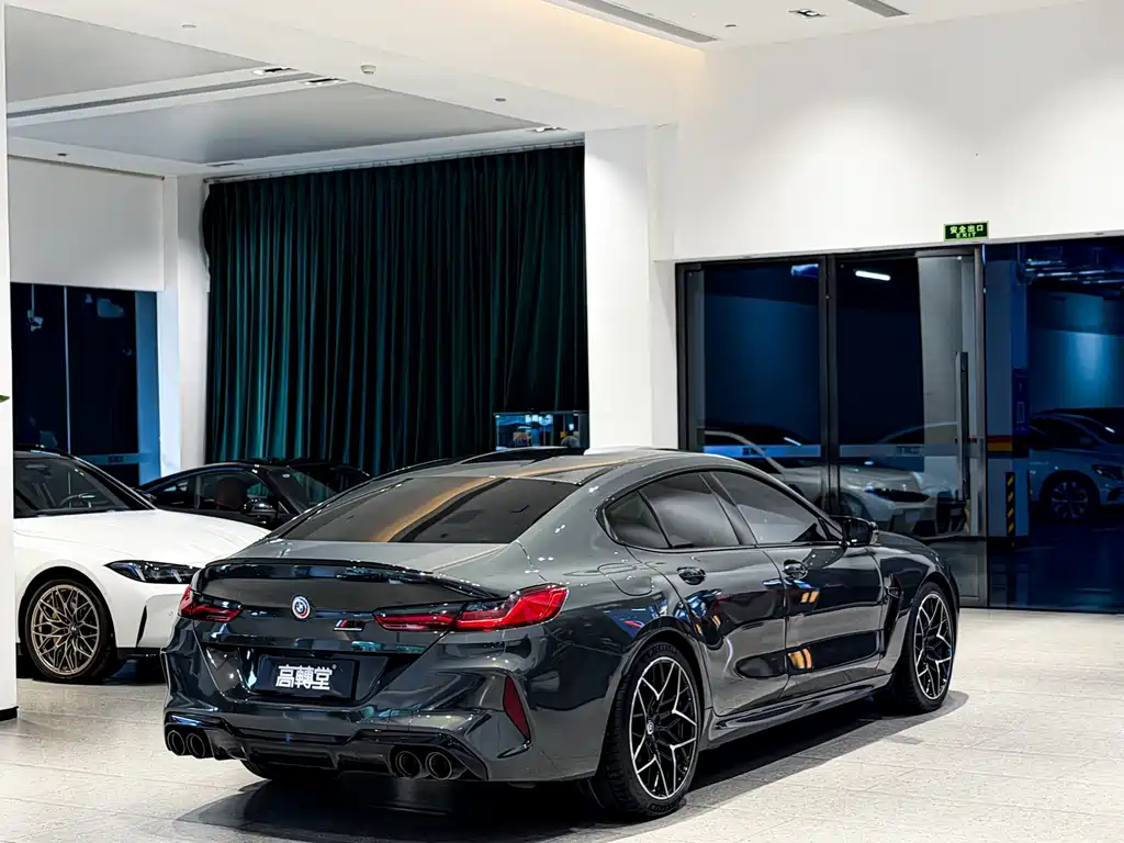 BMW M8 — фото 19