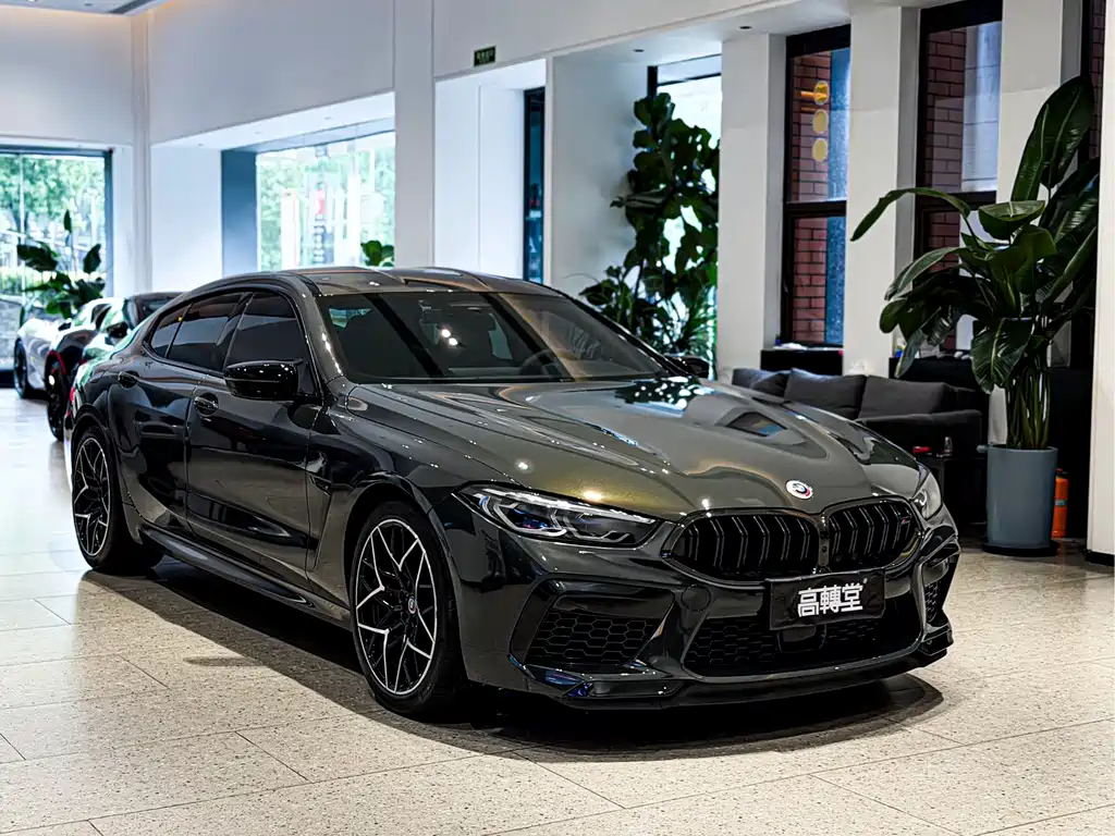 BMW M8 — фото 25
