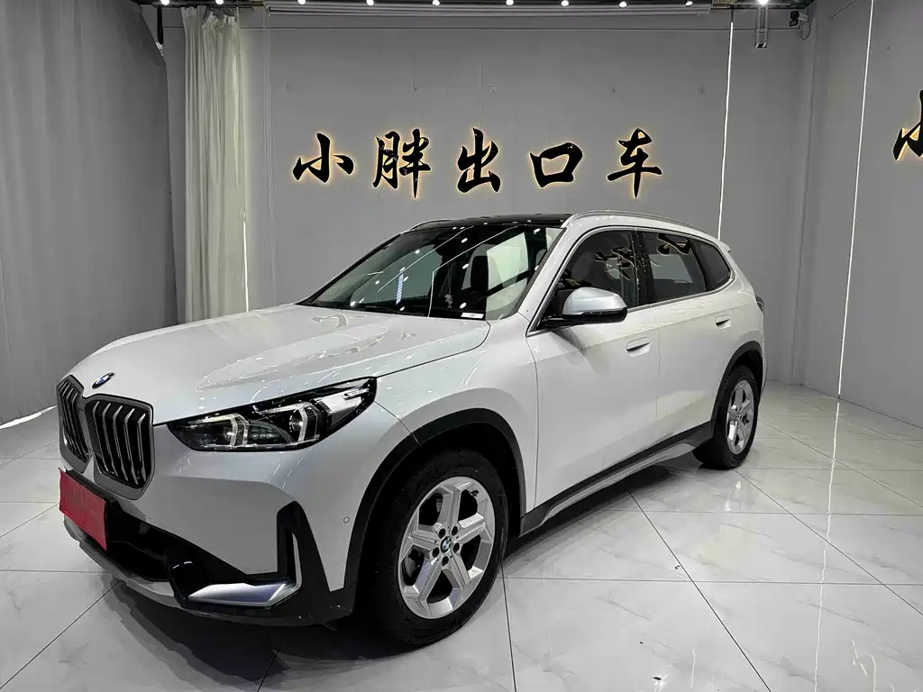 BMW X1 — фото 1