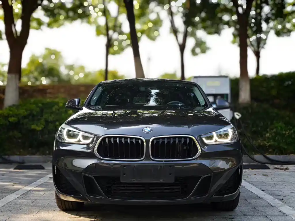 BMW X2 — фото 2