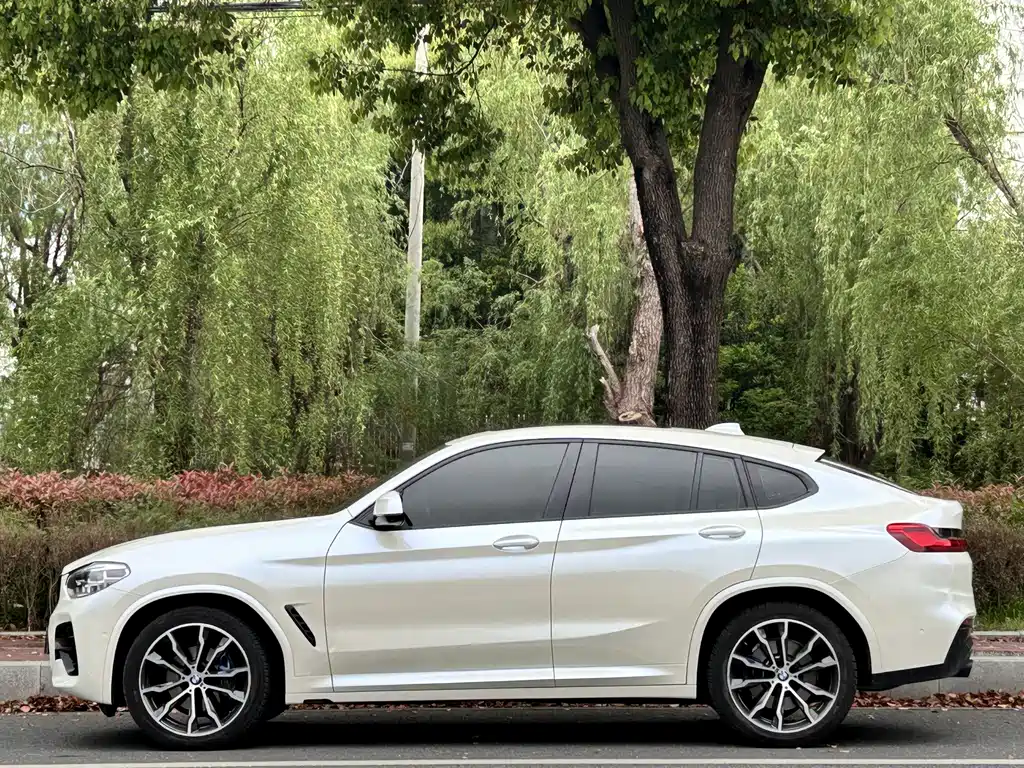 BMW X4 — фото 4