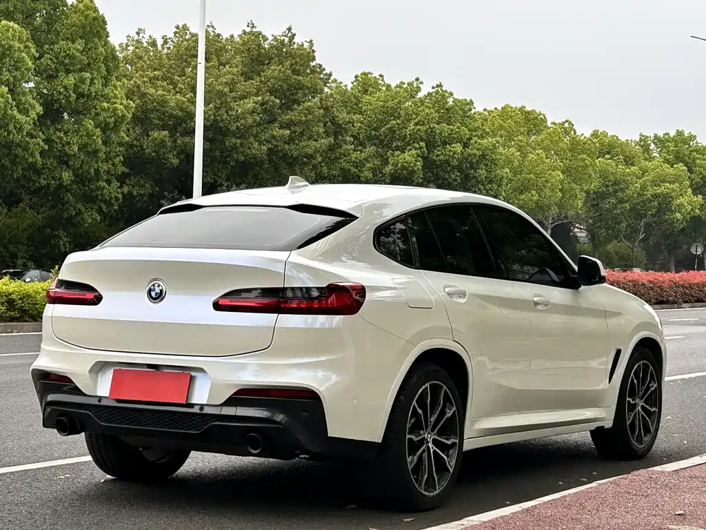 BMW X4 — фото 6