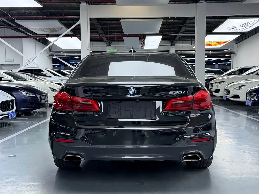 BMW 5 Series — фото 19