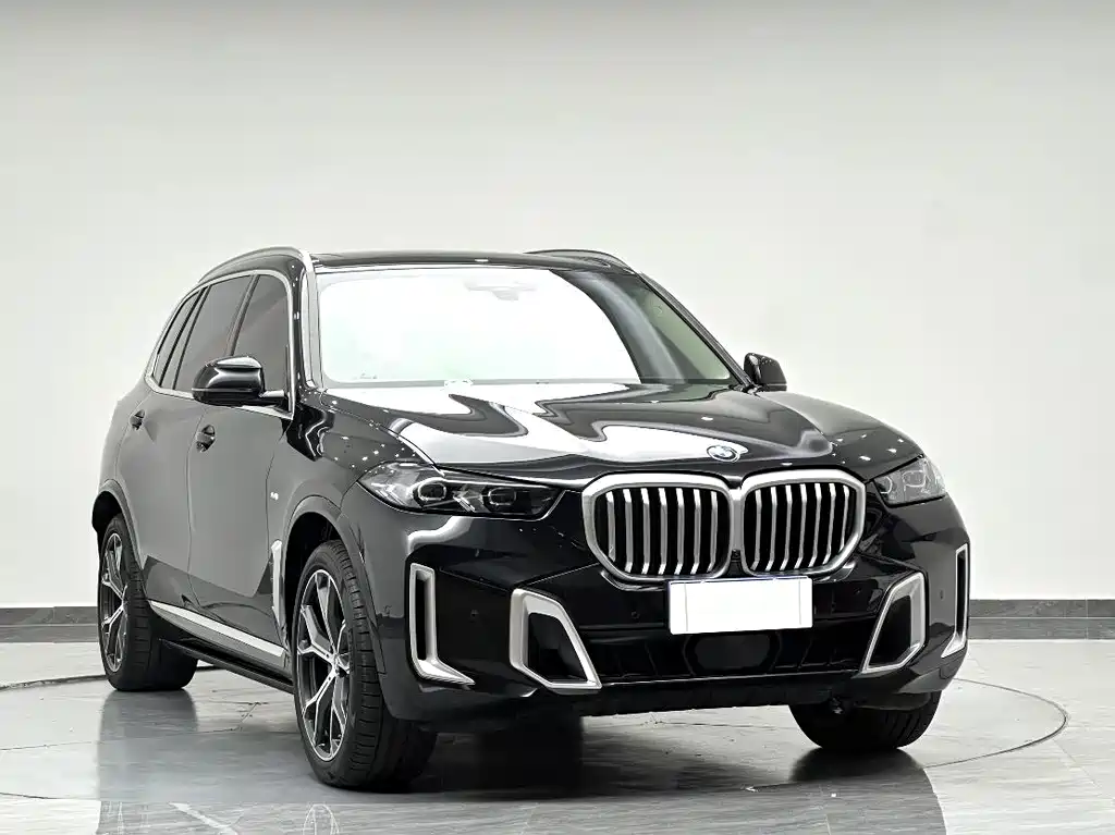 BMW X5 — фото 4
