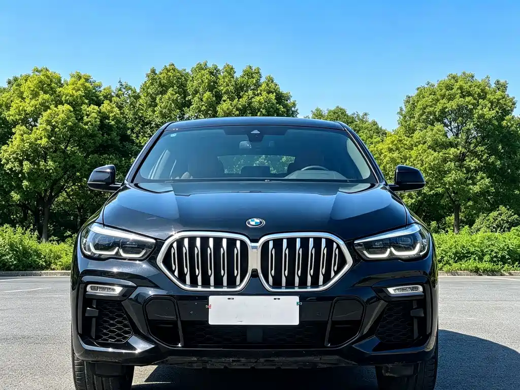 BMW X6 — фото 2