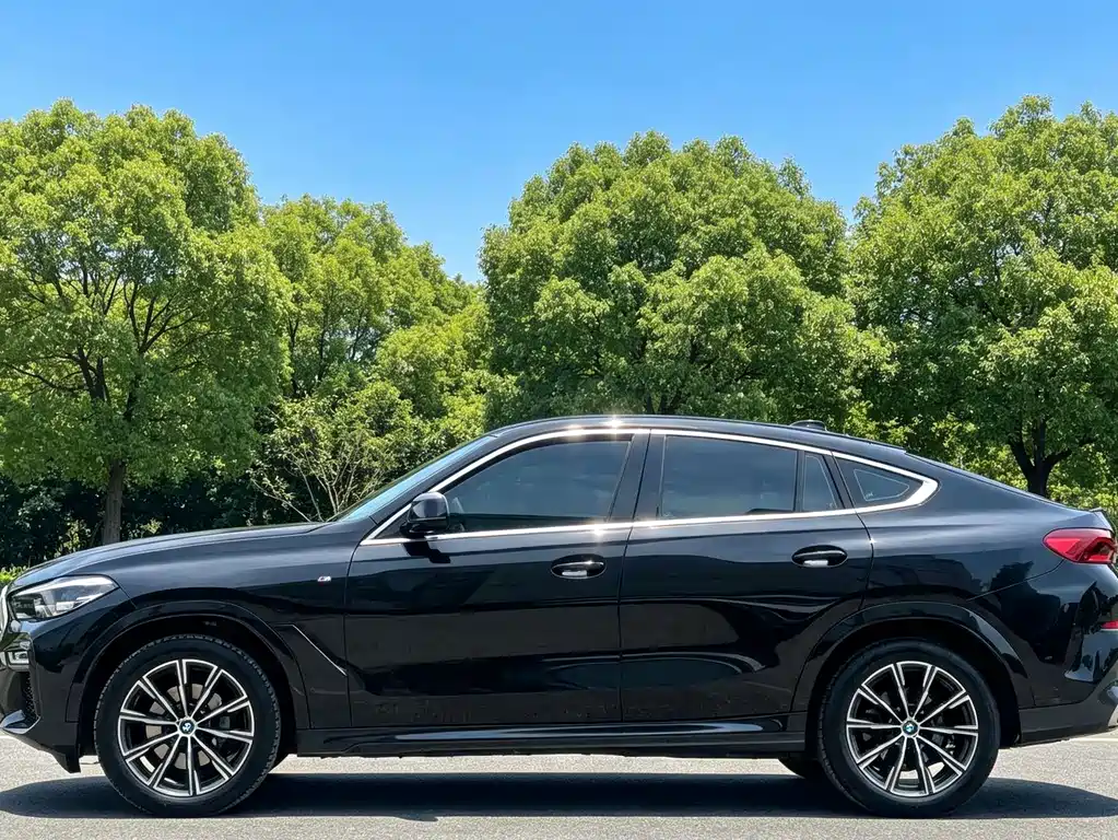 BMW X6 — фото 7
