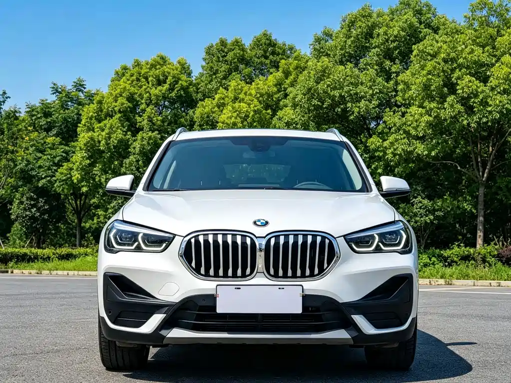 BMW X1 — фото 2