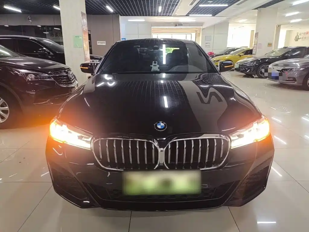BMW 5 Series New Energy — фото 3