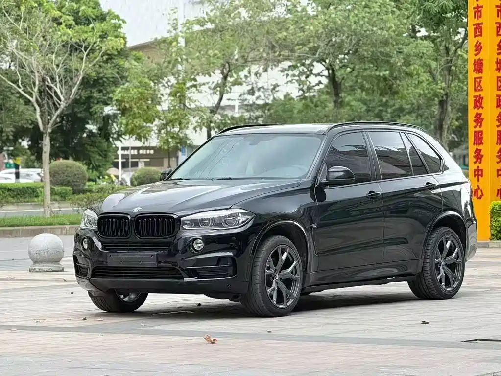 BMW X5 (Import) — фото 1