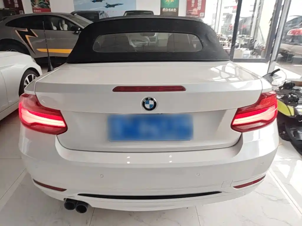 BMW 2 Series (Import) — фото 6