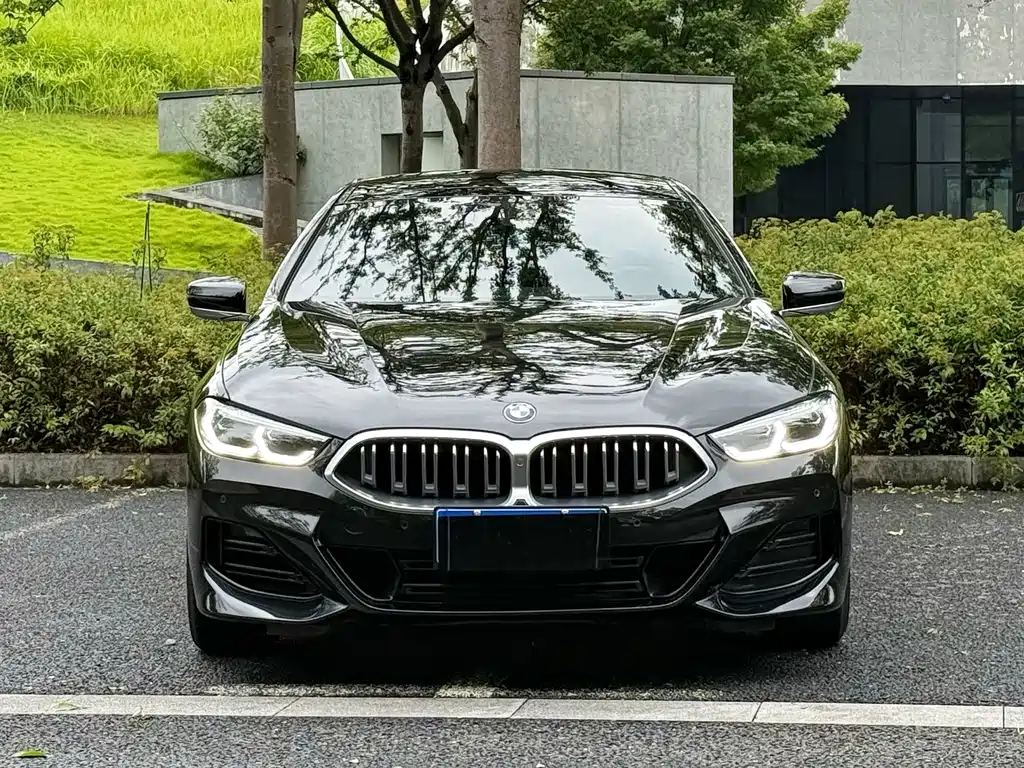 BMW 8 Series — фото 2