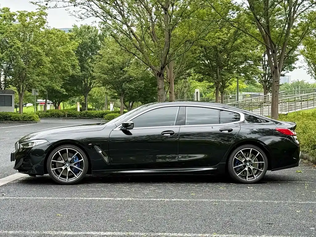 BMW 8 Series — фото 3