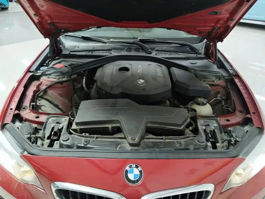BMW 2 Series (Import) — фото 10