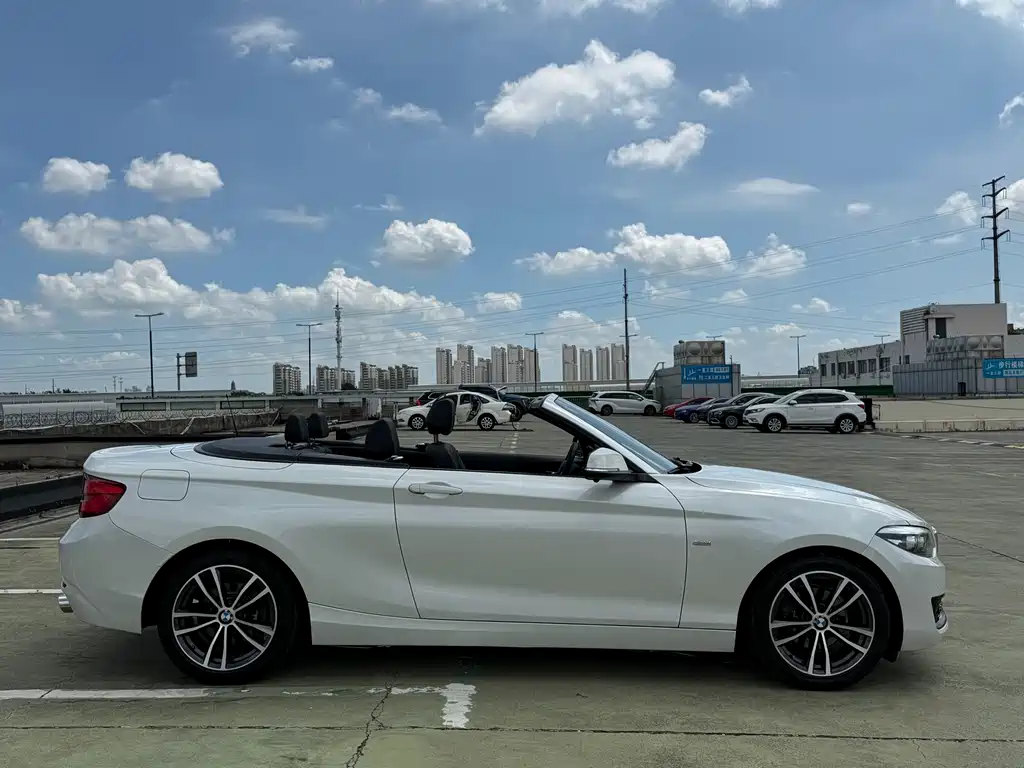 BMW 2 Series (Import) — фото 7