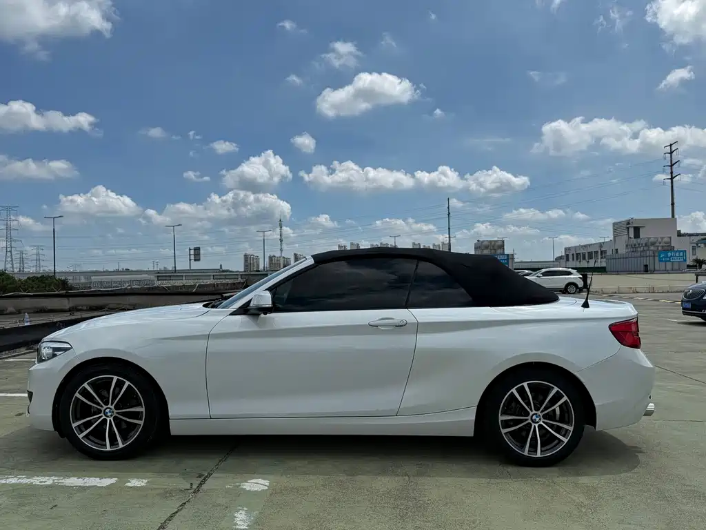 BMW 2 Series (Import) — фото 9