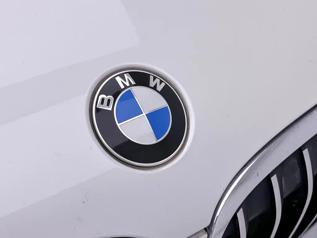 BMW X1 — фото 17