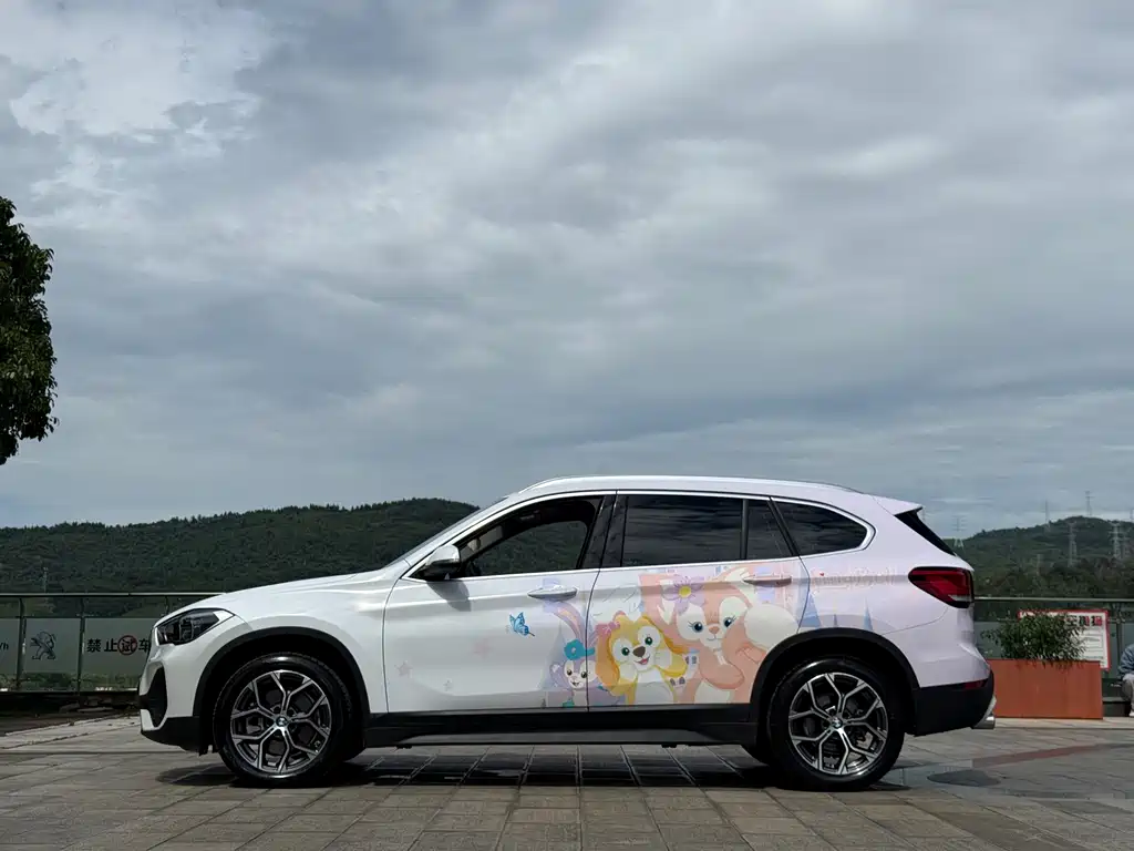 BMW X1 — фото 10