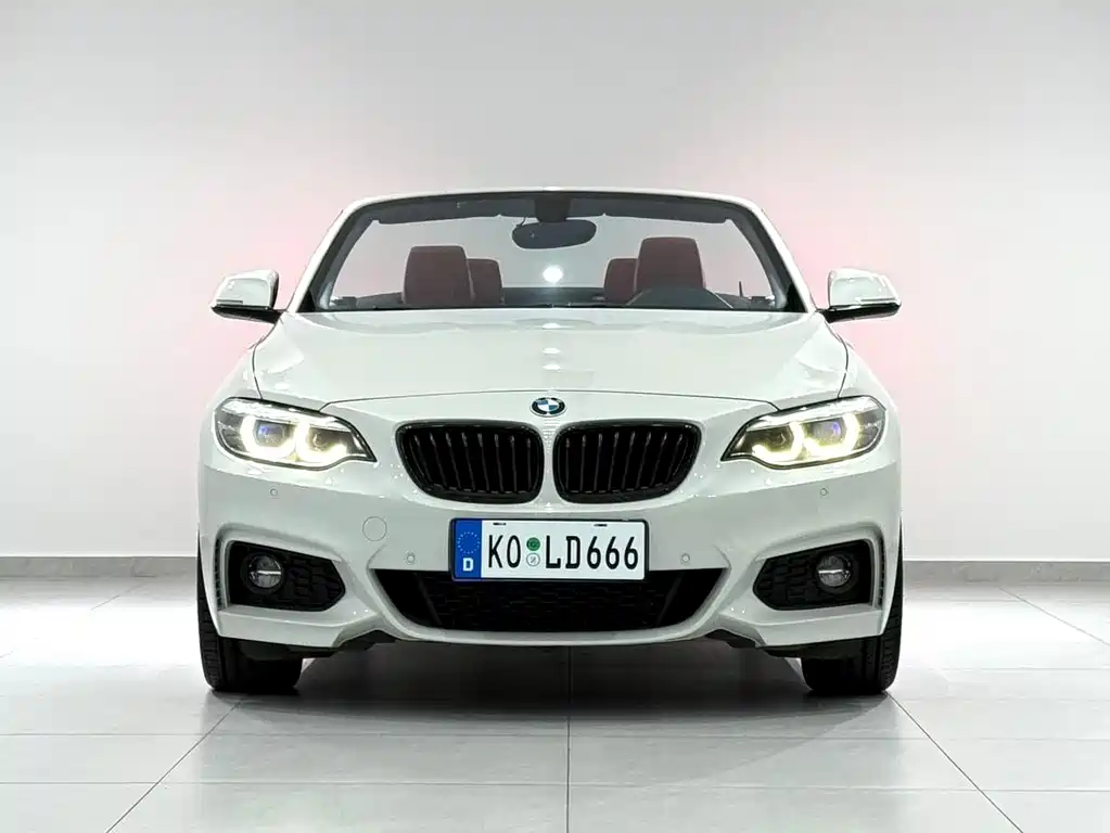 BMW 2 Series (Import) — фото 2